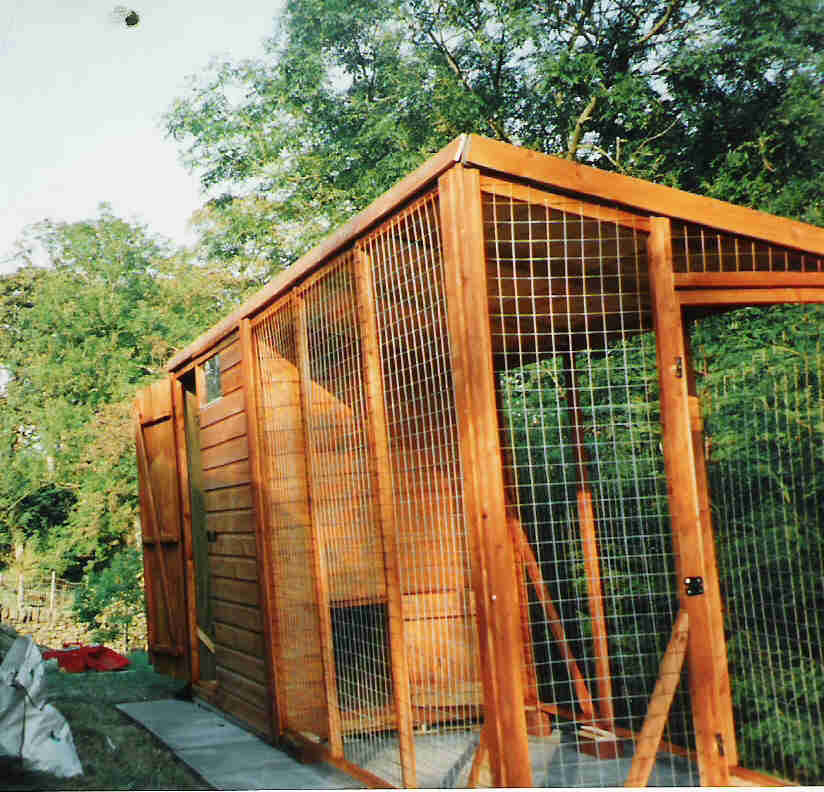 DOG KENNEL AND RUN