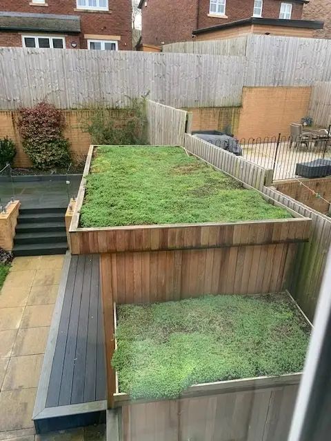 THIS IS A SEDUM ROOF